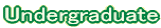 Undergraduate